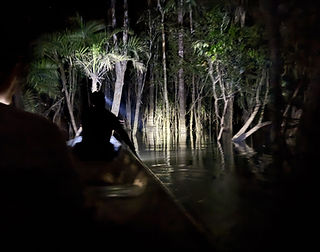 WhatsApp Image 2025-10-15 à 18.44.46_602e4203.jpg