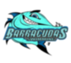 cuda wfont (2) (1) (1).png