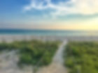 istockphoto-1196389584-612x612.jpg