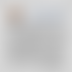 Palavra do Presidente