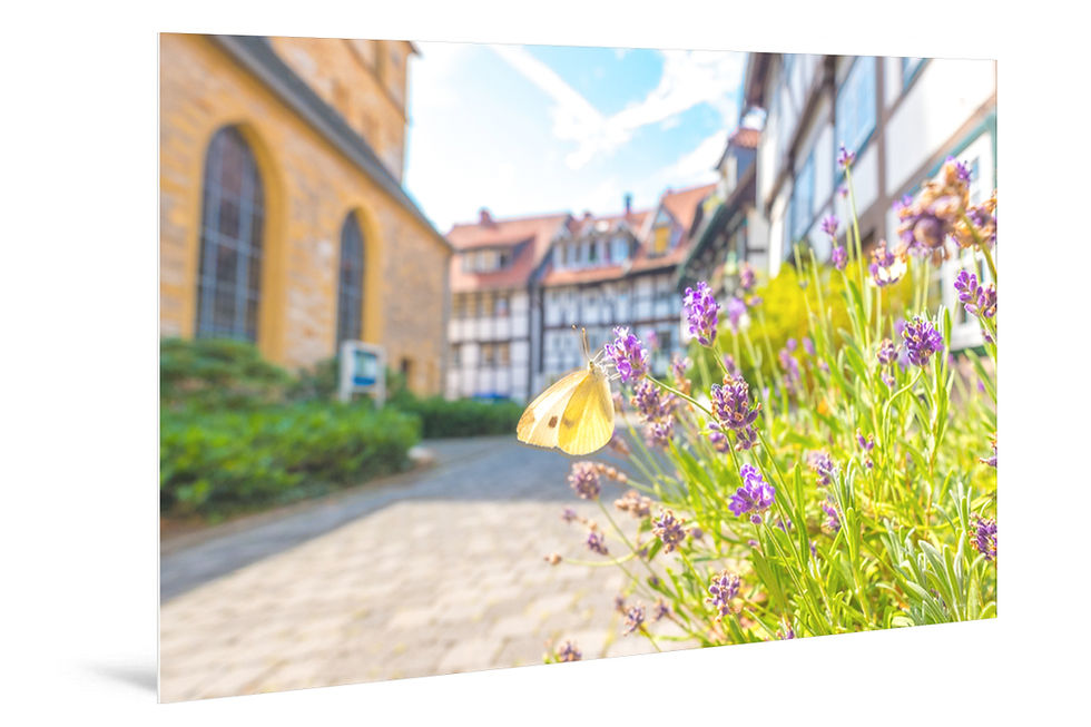 Miniaturbild: WANDBILD «SOMMER AN DER APOSTELKIRCHE IN GÜTERSLOH»