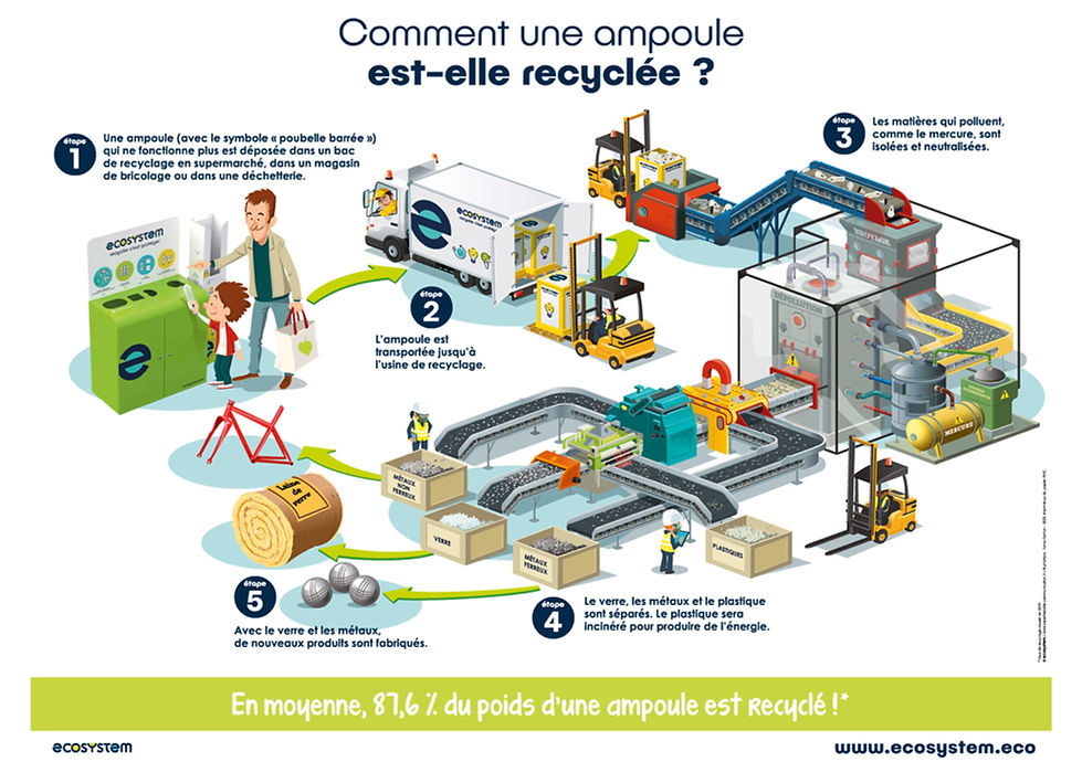 Cycle de revalorisation et de recyclage d'une ampoule