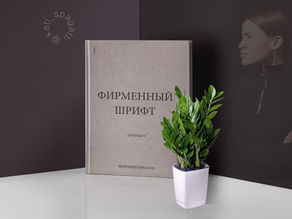 Фирменный шрифт