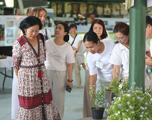 The Balance Experience : Lifestyle Medicine
คอร์สเวชศาสตร์วิถีชีวิต ประสบการณ์แห่งความสมดุล ครั้งที่ 3
