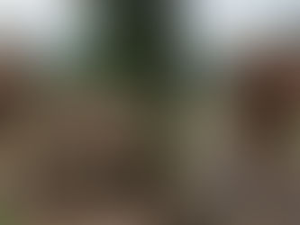 Innovazione digitale in azienda: perché oggi è una scelta di sopravvivenza (e di crescita)