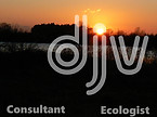 SUNSET_new_text.jpg