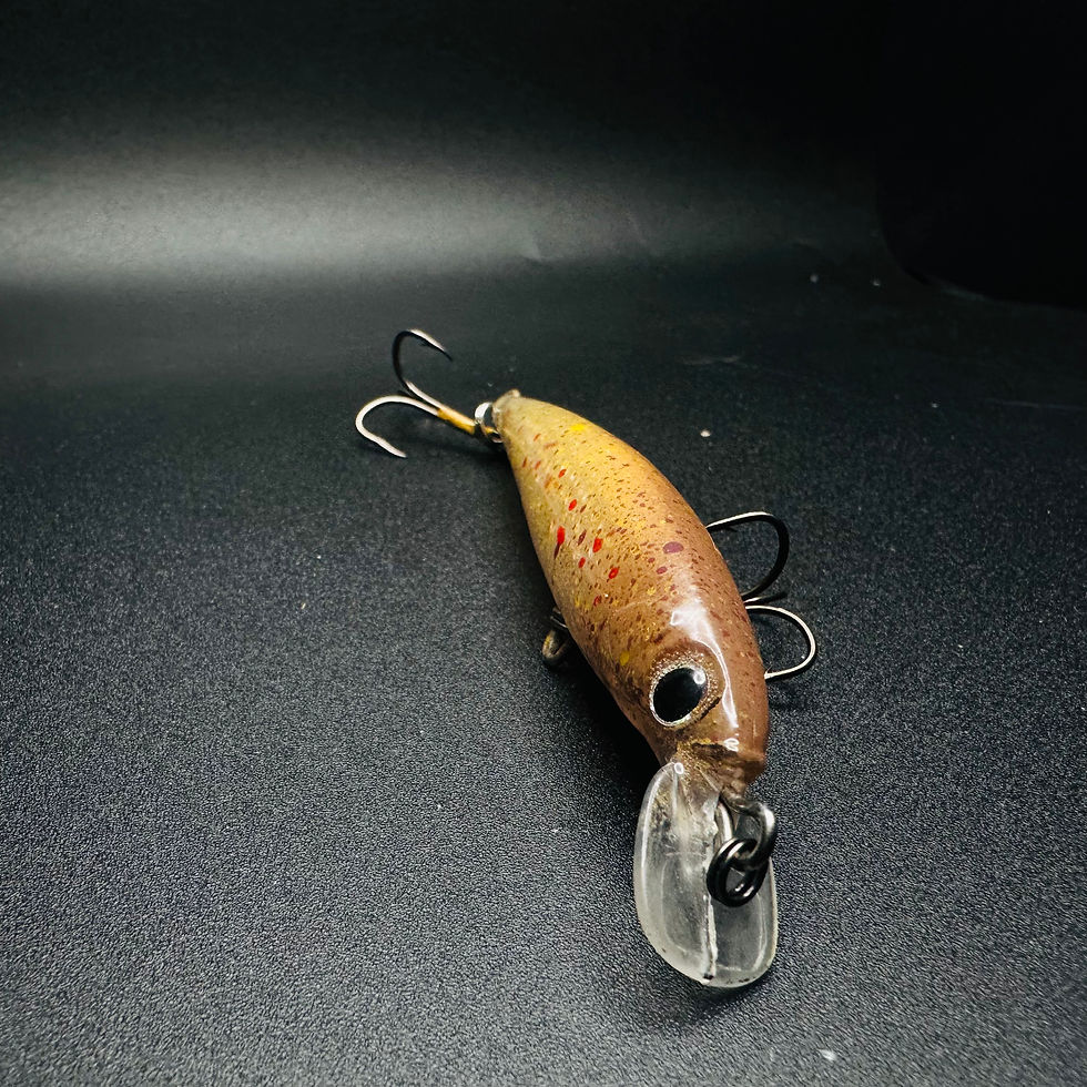 Thumbnail: Spotted Fry