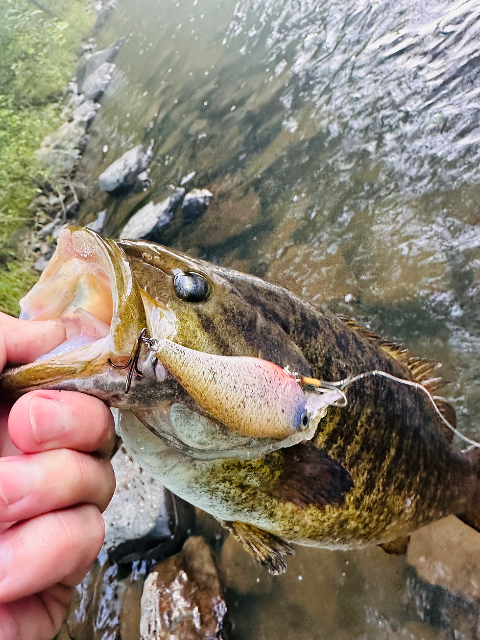 Thumbnail: Smallmouth Candy
