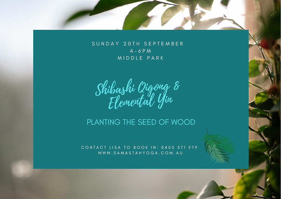Planting the seed of wood - Yin & Qigong Immersion
