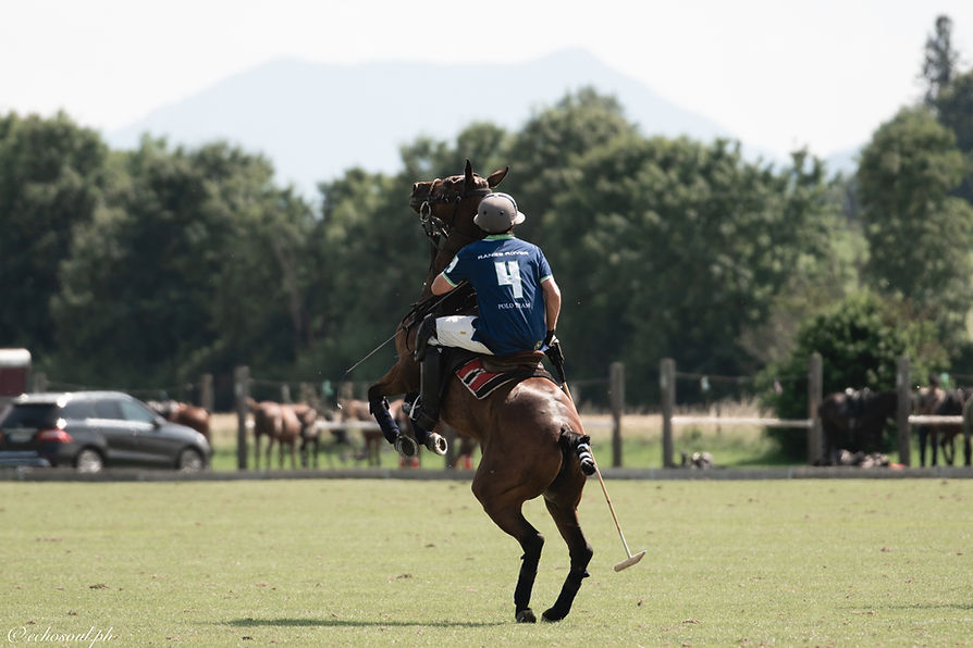polo-1-5.jpg