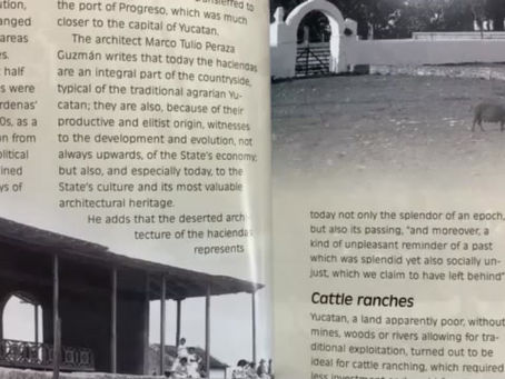 昨日のレッスン