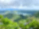 IMG_9701.JPEG