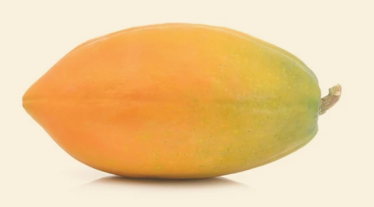 Papaye géante