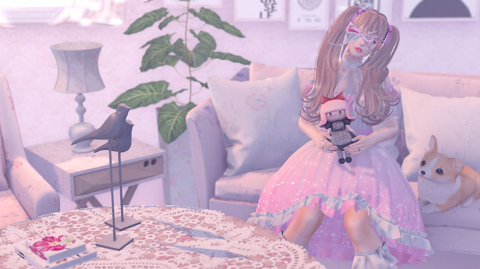 PHOTO by momo