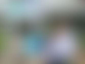 Ação solidária na prática