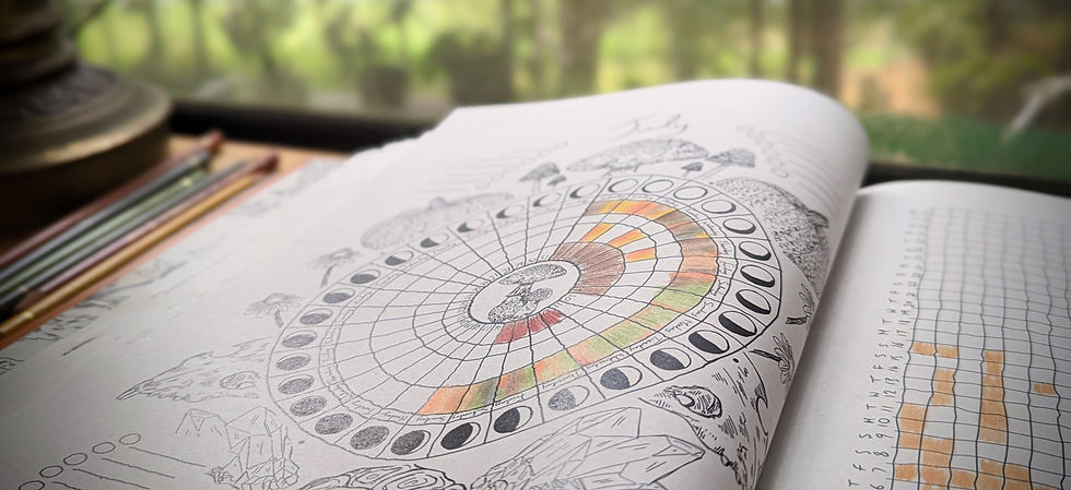 Reflective Journal Meetup