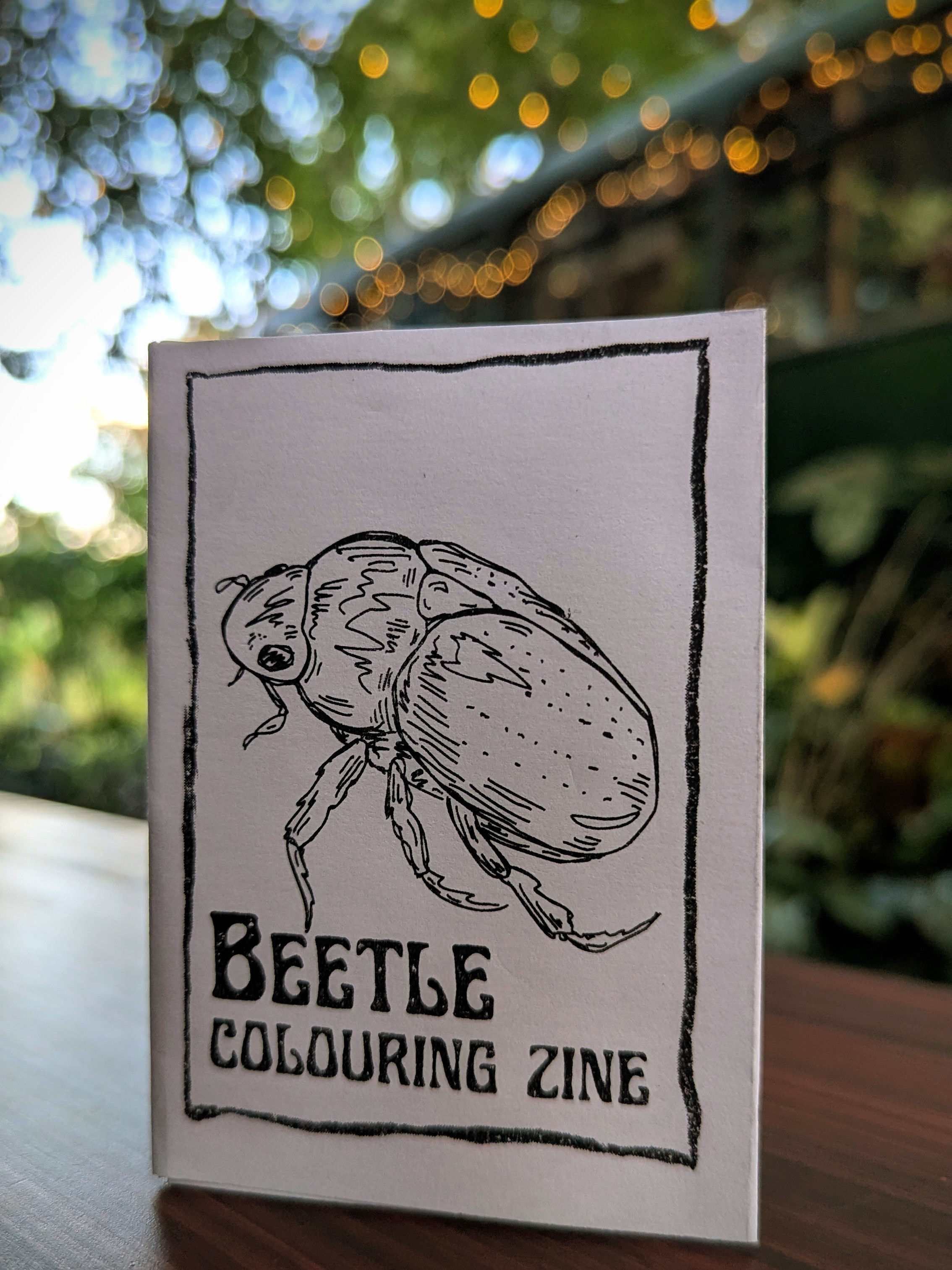 Beetle Colouring Zine - Colouring in book - Printable