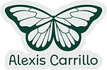 Butterfly Logo