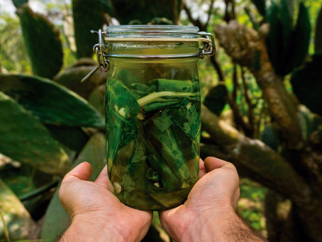 Ocupação 9 de julho recebe oficina de fermentação de alimentos