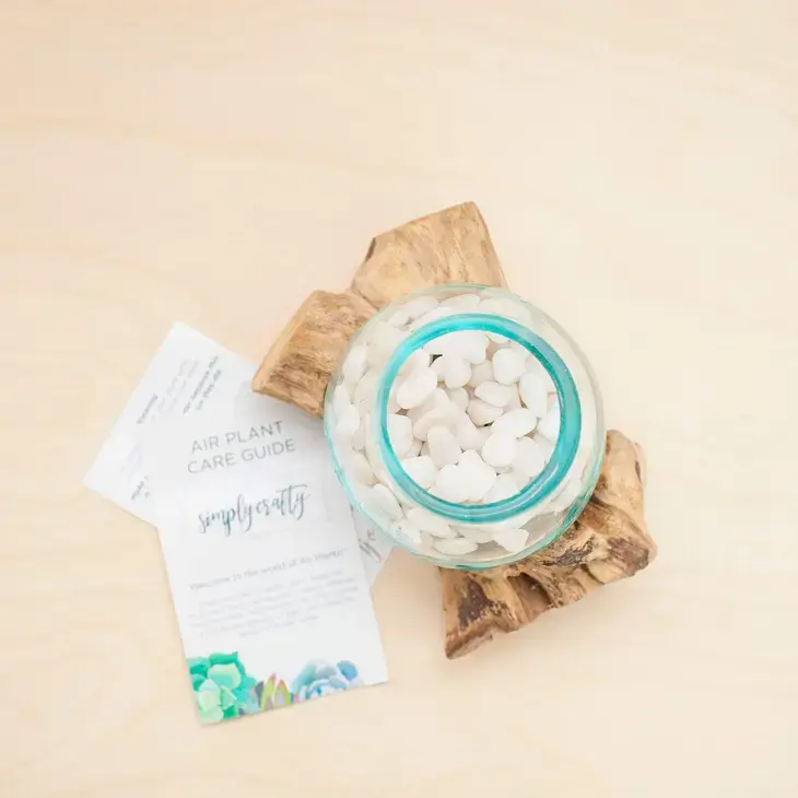 Thumbnail: Molten Bubble Glass on Driftwood Air Plant Terrarium Kit