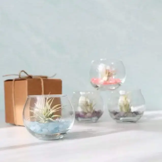 Mini Bubble Terrarium Kit- Semi-Precious Stone