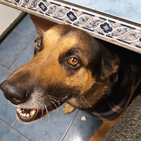 WhatsApp Image 2022-10-13 at 3.44.54 PM.jpeg