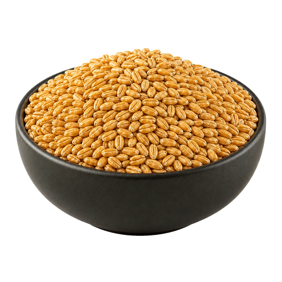 06_wheat_bulk.png