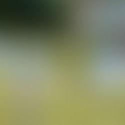 Erstes Heimspiel der Rückrunde gegen Bamberg