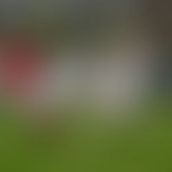 Erneute Niederlage im direkten Duell in Aschaffenburg