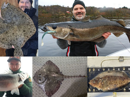 Nå skal det hele avgjøres