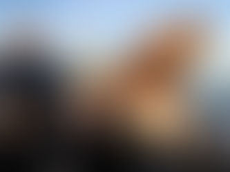 Bare 20 poeng skiller topp-fire – hele 34 fiskere har over 1000 poeng