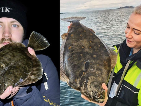 Jørgen til topps igjen – 31 fiskere med over 1000 poeng