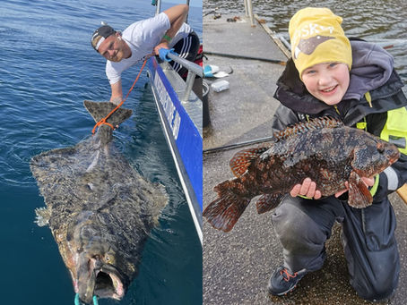 Daniel Andersen til topps i Havfisker´n – Martin Klavins er årets junior