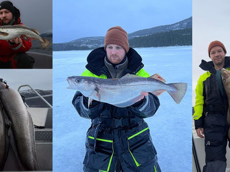 37 fiskere over 500 poeng – Kristian Midtlid med monsterbyks på listene
