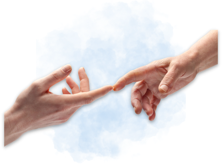 Palpation visual data 8