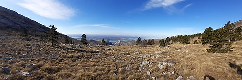 88236461_201810774364890_482528179009880