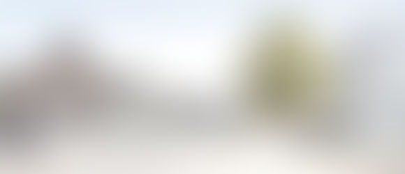 Schwerpunkt Root 2014