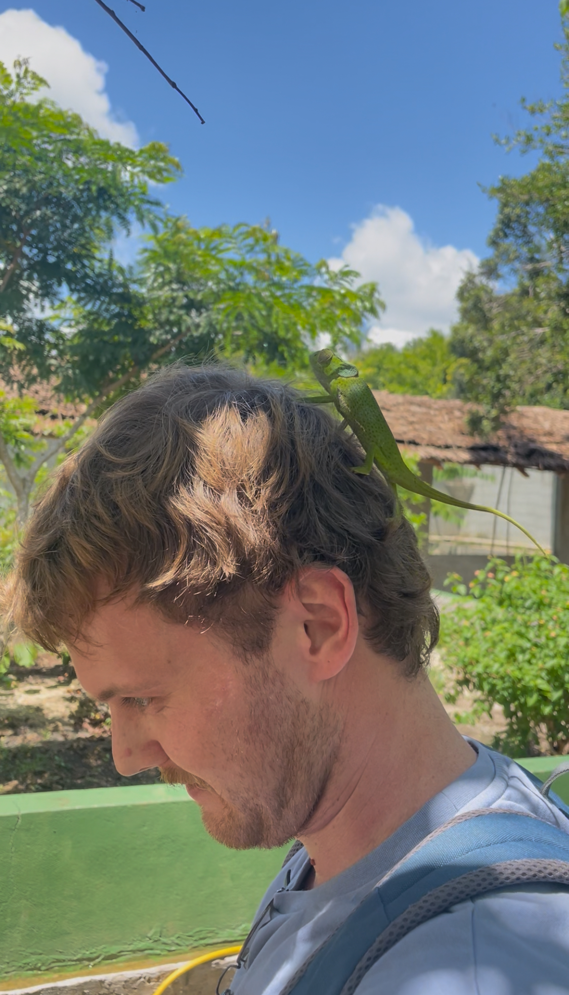 Autorenbild: Dan Travels