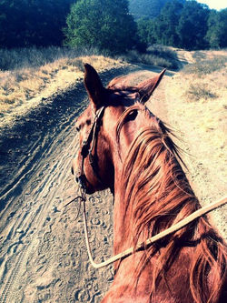 1385224_10151797680132423_1666250023_n