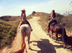 196561_10150102586567423_3277320_n_edited