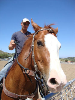 248349_10150181314322423_7296977_n