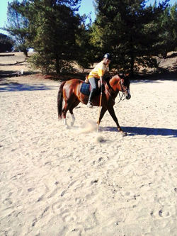 1098370_10151640474862423_744233138_n