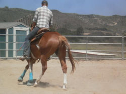 535240_10150912794627423_191556019_n