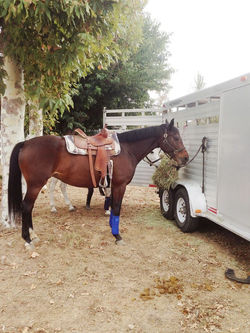 12187838_10153222223462423_1134492038905123111_n