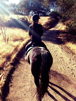 947304_10151794254377423_1773302105_n