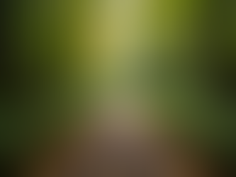 Stress Management Tips Maryland: Effective Strategies for Reducing Stress in Maryland