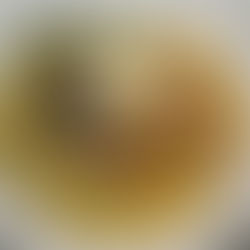 STONE CRAB FETTUCCINE