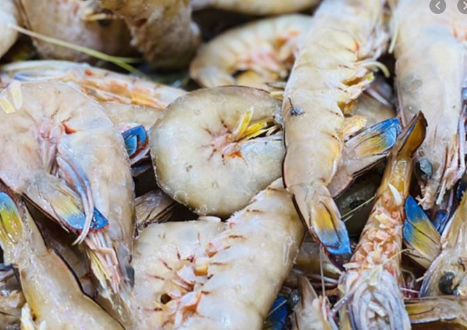 Jumbo Raw U8 Spencer Gulf Prawns - 1kg