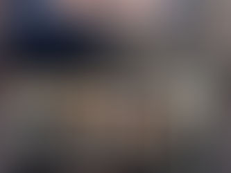 Chicago Restaurant Review -Little Bad Wolf