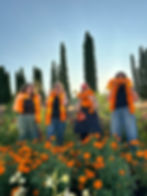 Thumbnail: Magic Marigold Garland